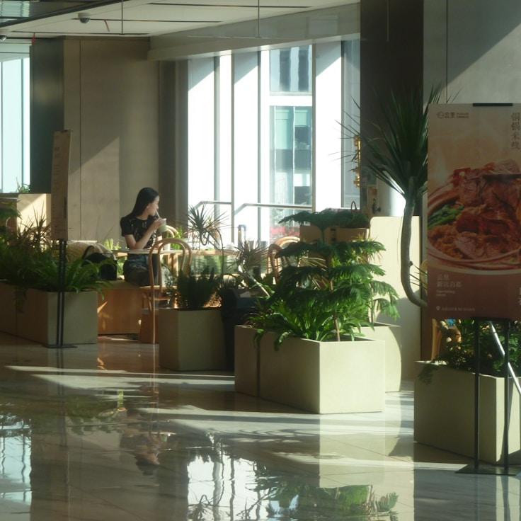 Dining out as an expat family in Spain